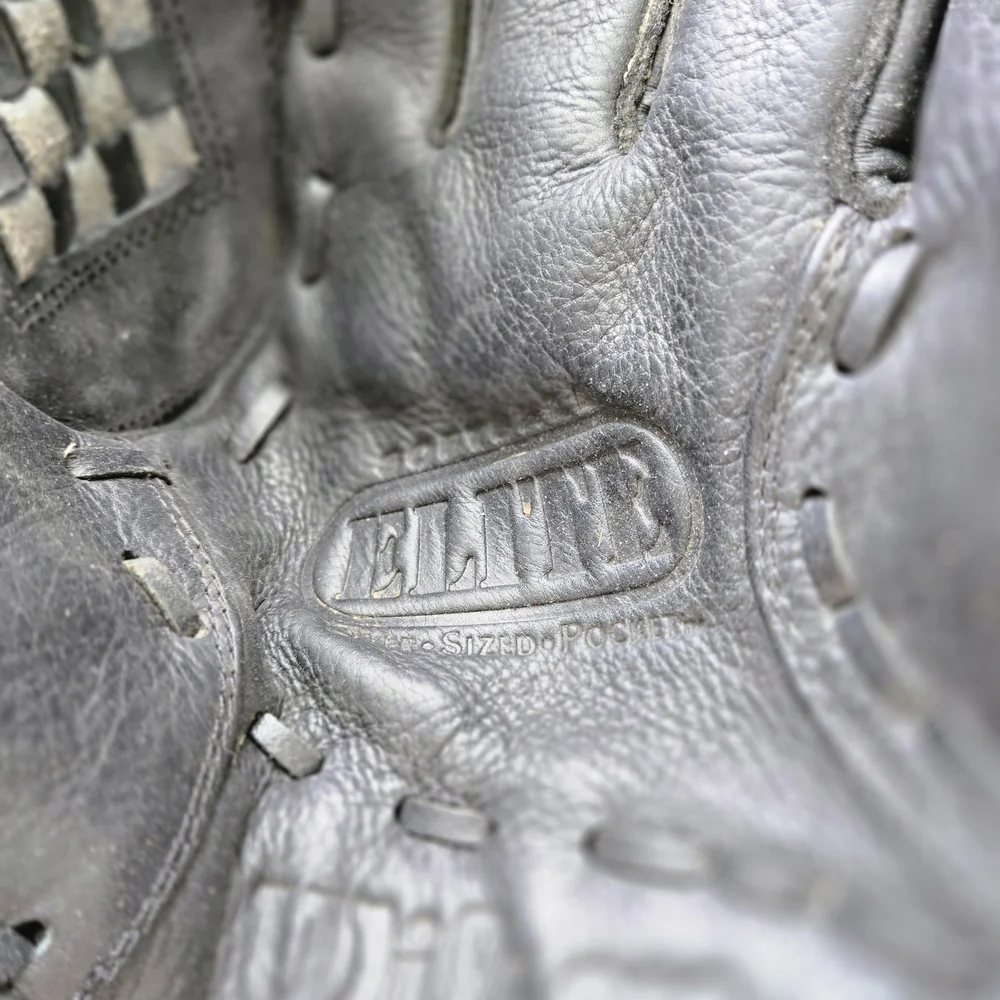 Wilson Black and Brown Baseball Glove